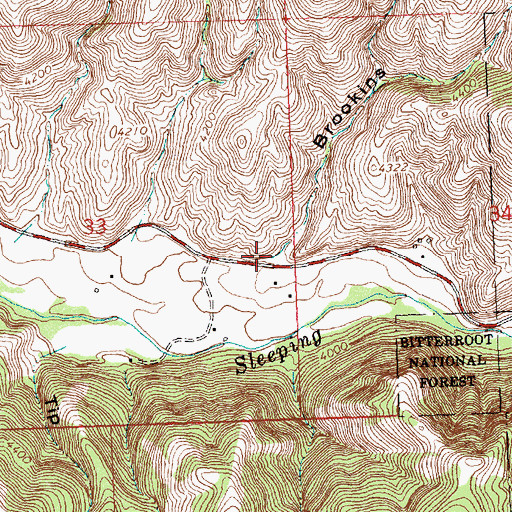 Topographic Map of Brookins Gulch, MT