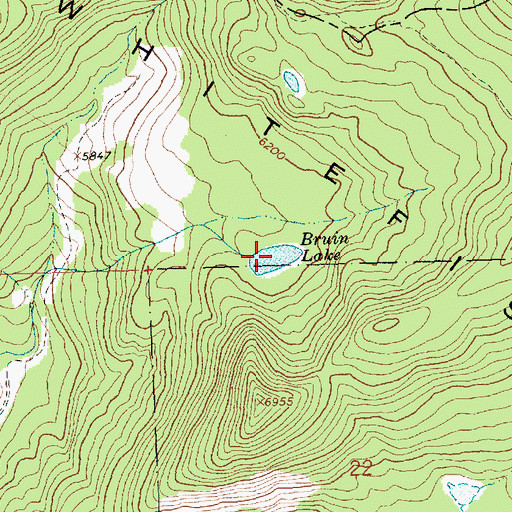 Topographic Map of Bruin Lake, MT