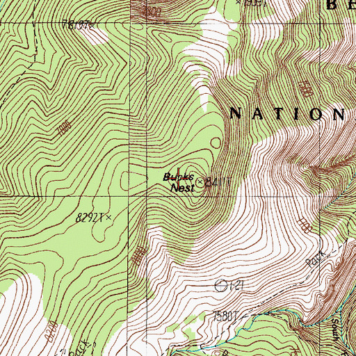 Topographic Map of Bucks Nest, MT