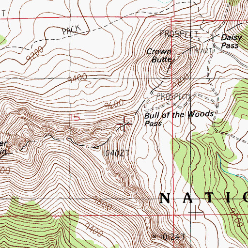 Topographic Map of Bull of the Woods Pass, MT