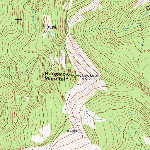 Topographic Map of Bungalow Mountain, MT