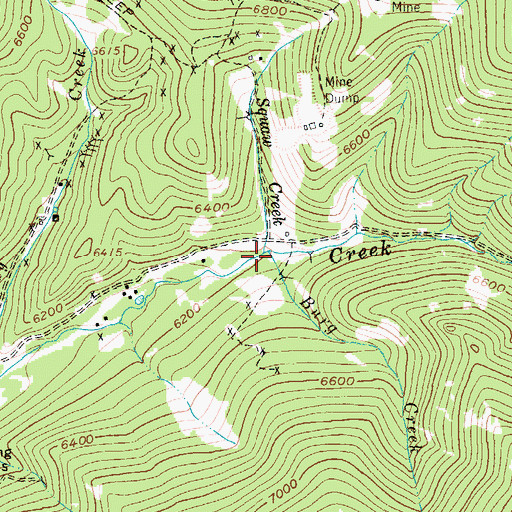 Topographic Map of Burg Creek, MT