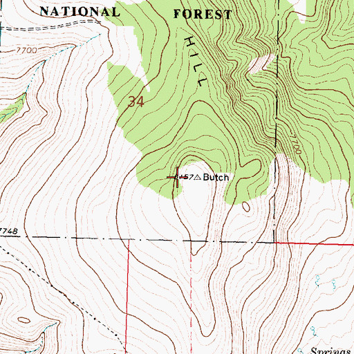 Topographic Map of Butch Hill, MT