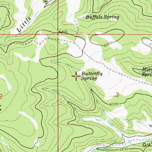 Topographic Map of Butterfly Spring, MT