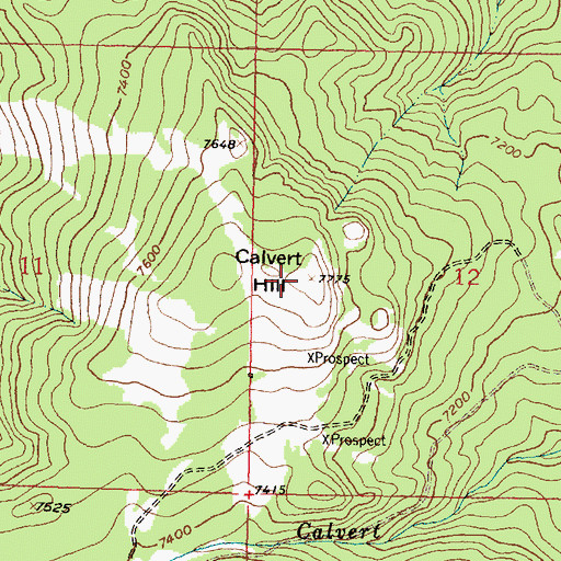 Topographic Map of Calvert Hill, MT