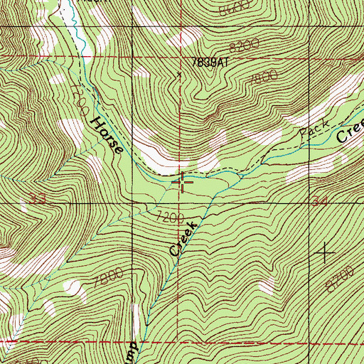 Topographic Map of Camp Creek, MT
