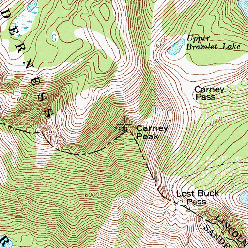 Topographic Map of Carney Peak, MT