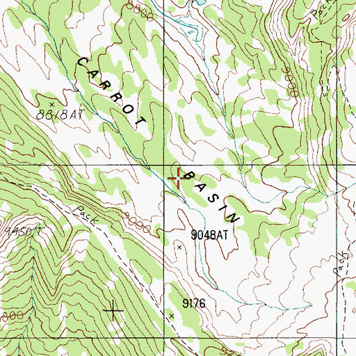 Topographic Map of Carrot Basin, MT