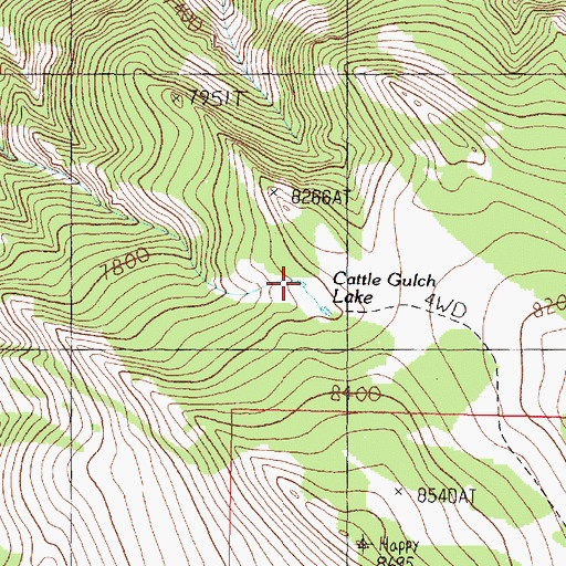 Topographic Map of Cattle Gulch Lake, MT