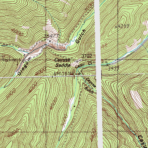 Topographic Map of Cayuse Saddle, MT