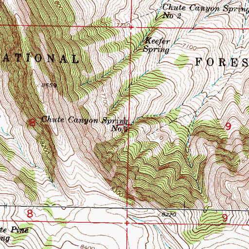 Topographic Map of Chute Canyon Spring Number One, MT