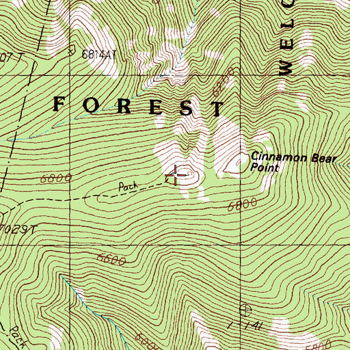 Topographic Map of Cinnamon Bear Point, MT