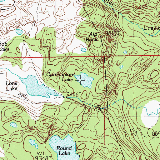 Topographic Map of Companion Lake, MT