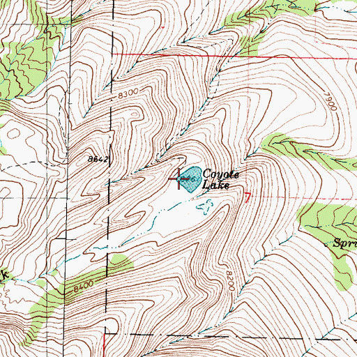 Topographic Map of Coyote Lake, MT