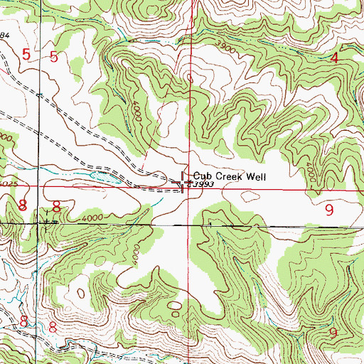 Topographic Map of Cub Creek Well, MT