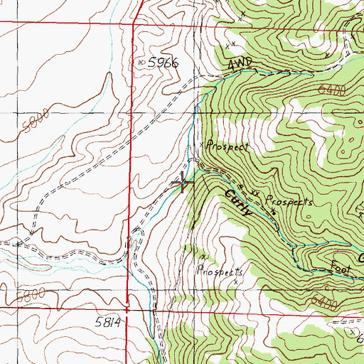 Topographic Map of Curly Gulch, MT