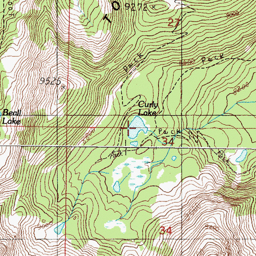 Topographic Map of Curly Lake, MT