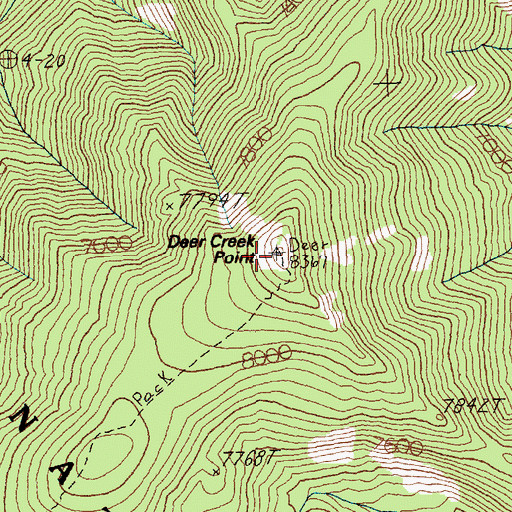 Topographic Map of Deer Creek Point, MT