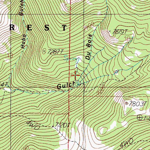 Topographic Map of DuBois Gulch, MT
