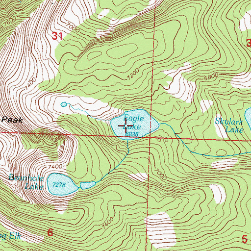 Topographic Map of Eagle Lake, MT