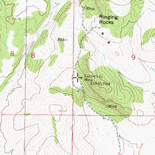 Topographic Map of Easter Lily Mine, MT