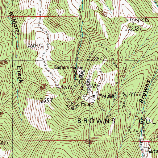 Topographic Map of Eastern Pacific Mine, MT