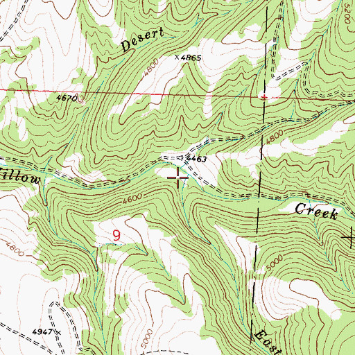 Topographic Map of Eastman Creek, MT