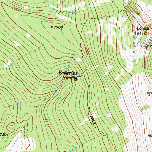 Topographic Map of Emerine Spring, MT