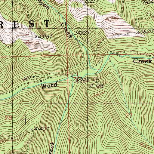 Topographic Map of Fisher Creek, MT