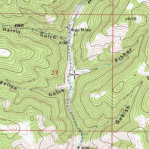 Topographic Map of Fisher Gulch, MT