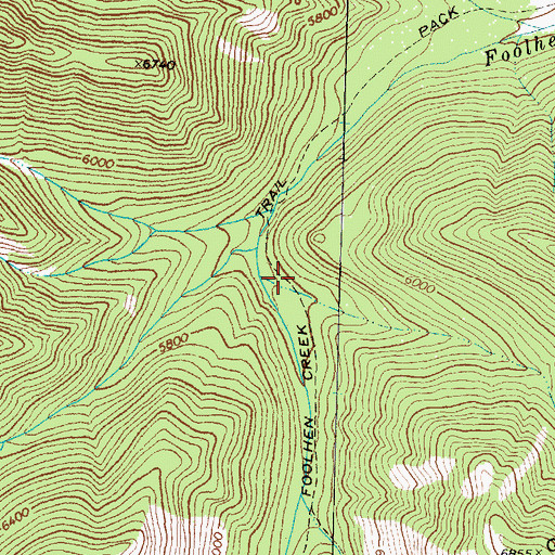 Topographic Map of Foolhen Creek Trail, MT