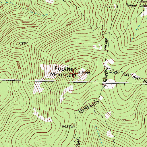 Topographic Map of Foolhen Mountain, MT