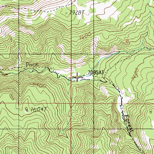 Topographic Map of Forest Creek, MT