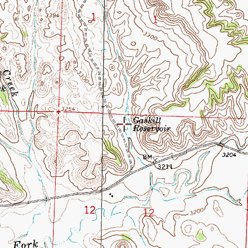 Topographic Map of Gaskill Reservoir, MT