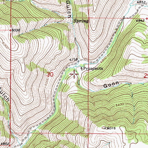 Topographic Map of Goon Gulch, MT