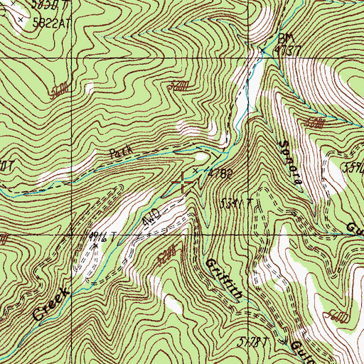 Topographic Map of Griffith Gulch, MT