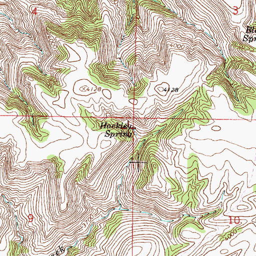 Topographic Map of Hackley Spring, MT