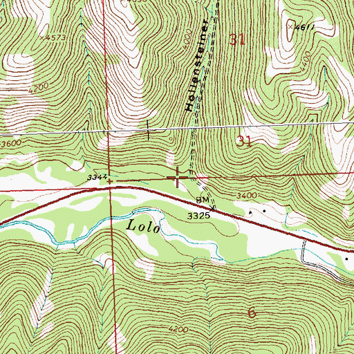 Topographic Map of Hollensteiner Gulch, MT