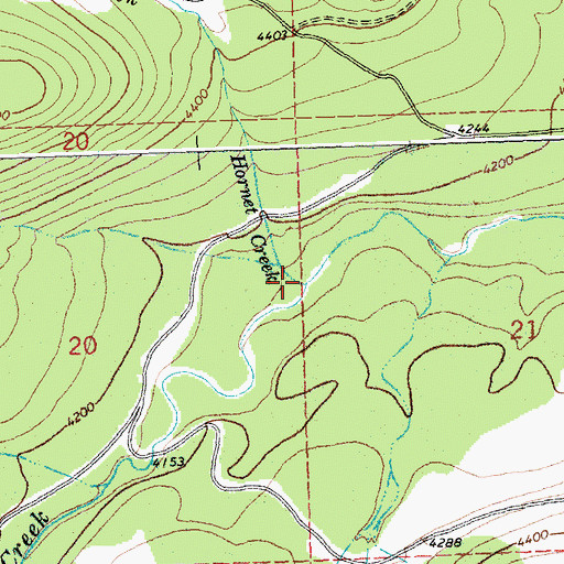 Topographic Map of Hornet Creek, MT