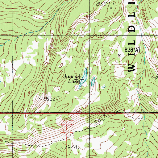 Topographic Map of Juncus Lake, MT