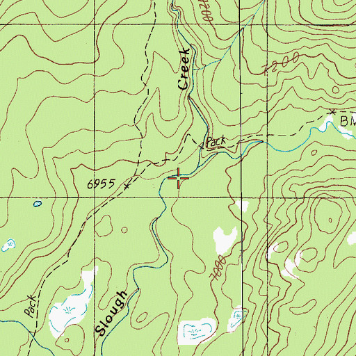 Topographic Map of Lake Abundance Creek, MT
