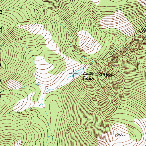 Topographic Map of Lake Canyon Lake, MT