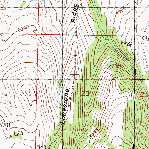 Topographic Map of Limestone Ridge, MT