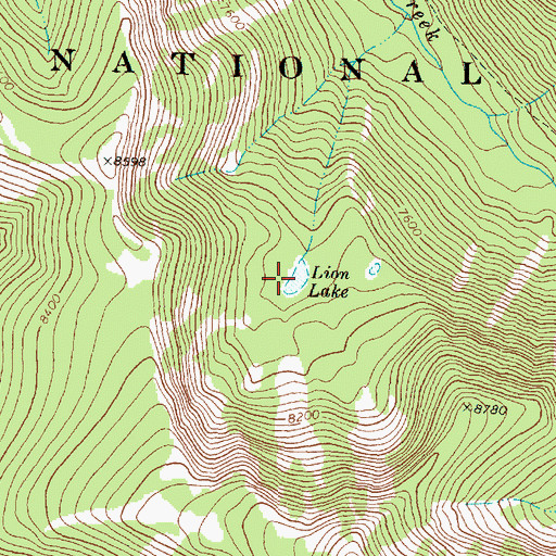 Topographic Map of Lion Lake, MT
