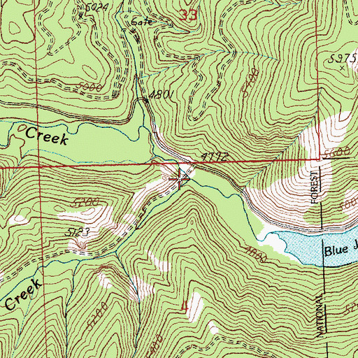 Topographic Map of Little Blue Joint Creek, MT