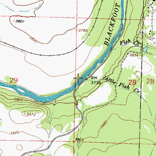 Topographic Map of Little Fish Creek, MT