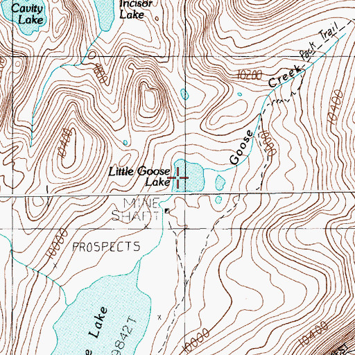 Topographic Map of Little Goose Lake, MT