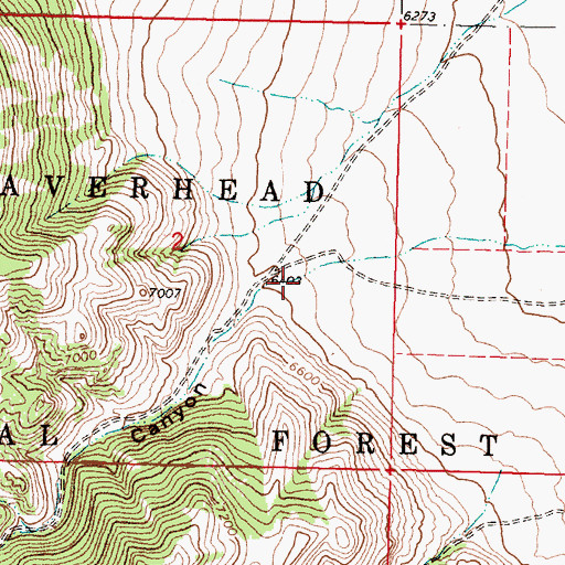 Topographic Map of Little Water Canyon, MT