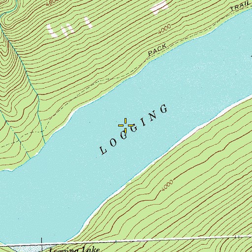 Topographic Map of Logging Lake, MT