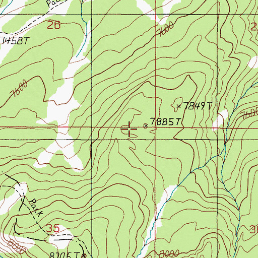 Topographic Map of Lone Acre Lake, MT